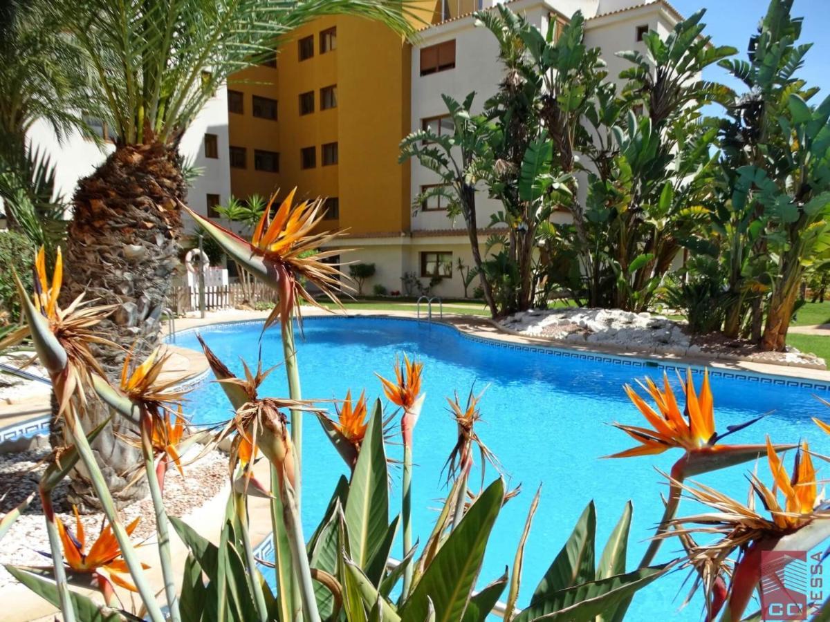 Apartamento Eleonor, La Entrada, Punta Prima, Торевиеха Екстериор снимка